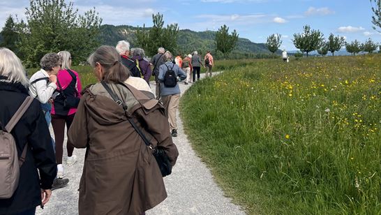 IMG_3263.jpeg (1) IMG_3263.jpeg (1)