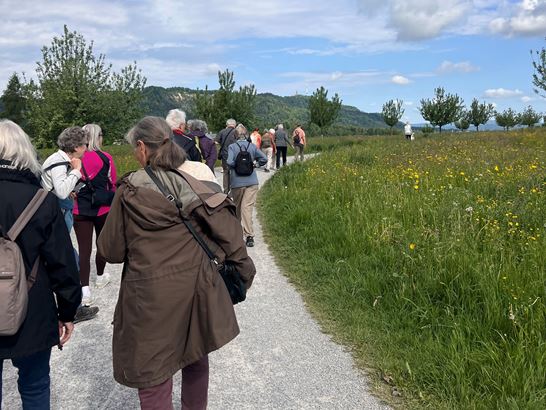 IMG_3263.jpeg (1) IMG_3263.jpeg (1)