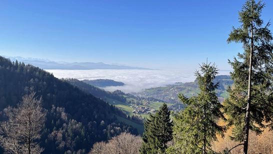 IMG_9774.jpg IMG_9774.jpg