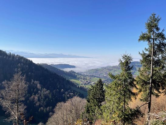 IMG_9774.jpg IMG_9774.jpg