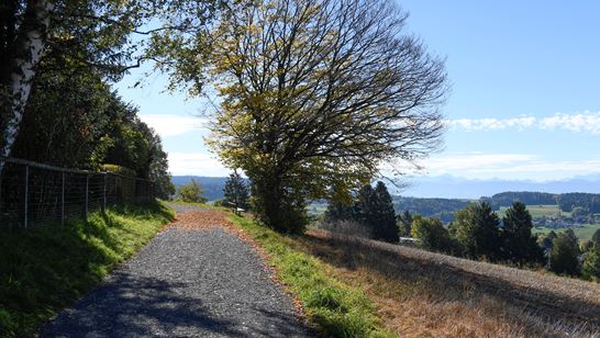 zumikon-natur_001.jpg (1) zumikon-natur_001.jpg (1)