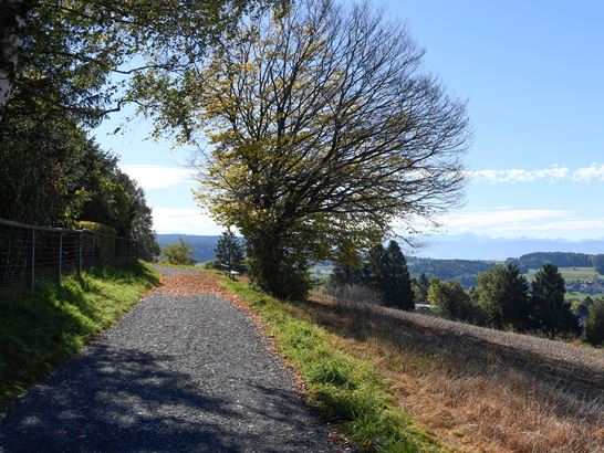 zumikon-natur_001.jpg (1) zumikon-natur_001.jpg (1)