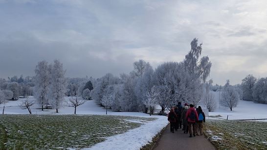 20260122_141923.jpg 20260122_141923.jpg