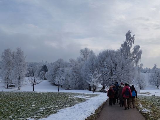 20260122_141923.jpg 20260122_141923.jpg