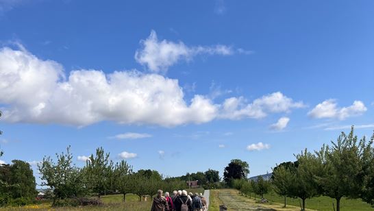 IMG_3266.jpeg IMG_3266.jpeg