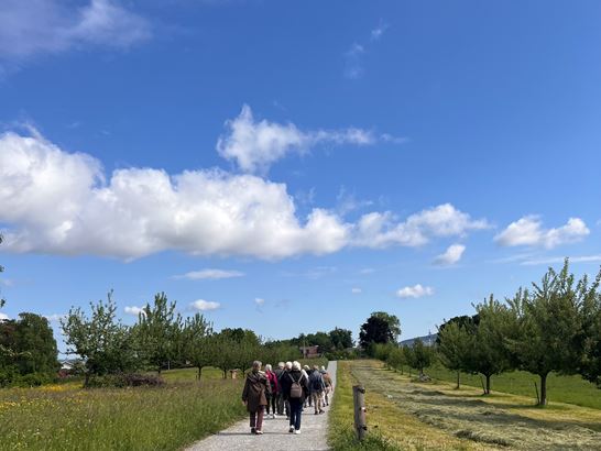 IMG_3266.jpeg IMG_3266.jpeg