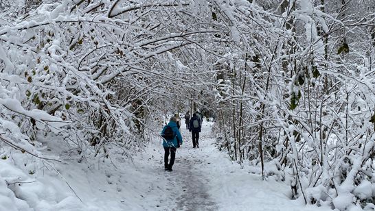 img_9925.jpeg img_9925.jpeg