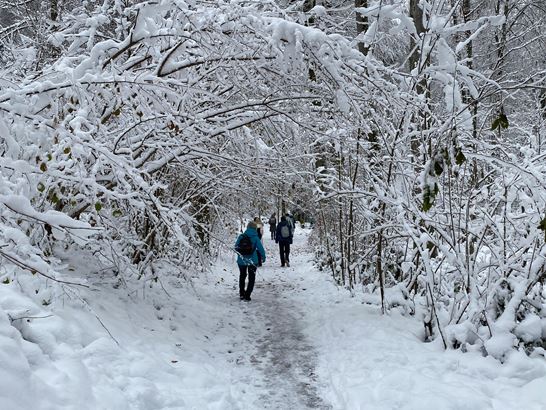 img_9925.jpeg img_9925.jpeg