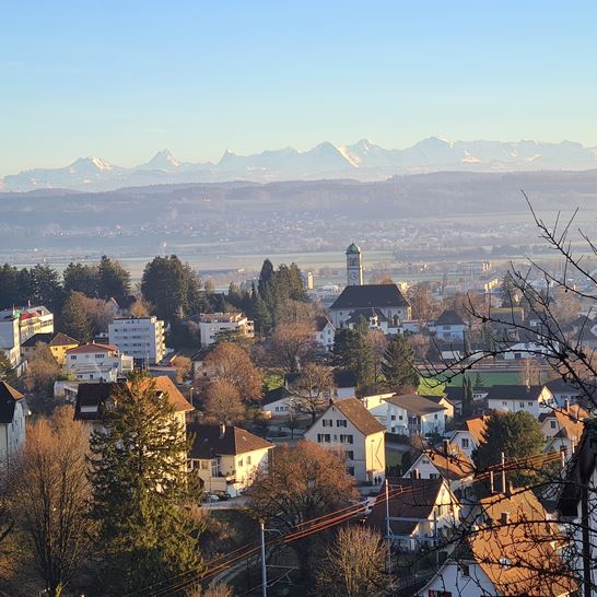 20240411_165245.jpg 20240411_165245.jpg