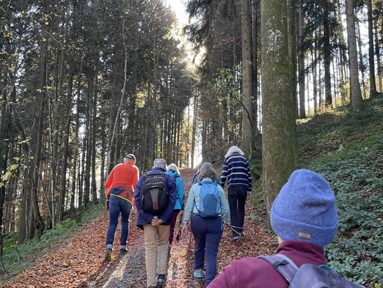 IMG_9768.jpg IMG_9768.jpg