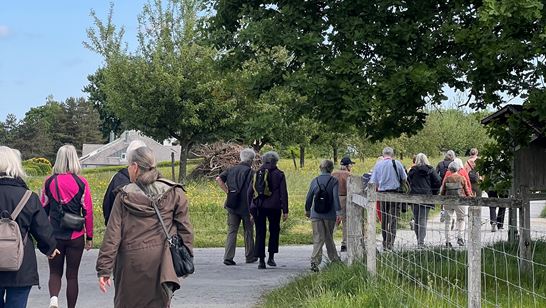 IMG_3265.jpeg (1) IMG_3265.jpeg (1)