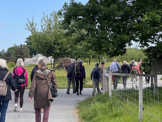 IMG_3265.jpeg (1) IMG_3265.jpeg (1)