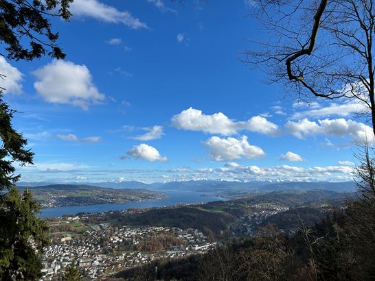 2025.11.03.JPG 2025.11.03.JPG
