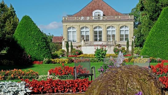 IMG_20220908_114238.jpg IMG_20220908_114238.jpg