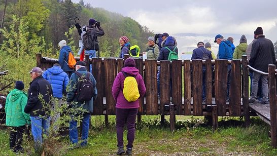 IMG-20240418-WA0013.jpg IMG-20240418-WA0013.jpg