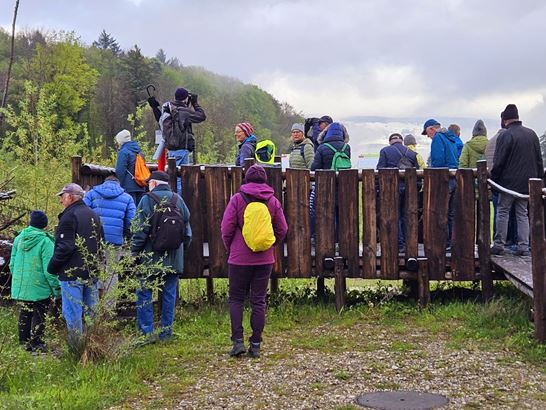 IMG-20240418-WA0013.jpg IMG-20240418-WA0013.jpg