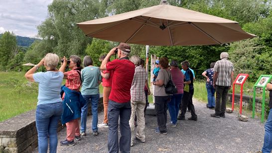 IMG_6723.jpg IMG_6723.jpg