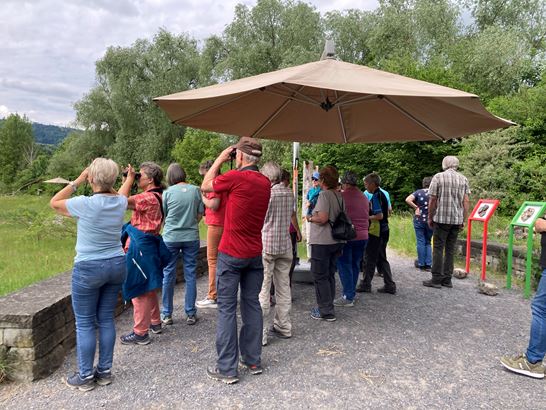 IMG_6723.jpg IMG_6723.jpg