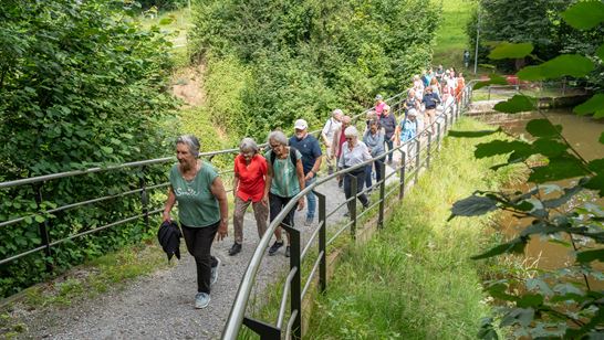 DSC02529 (1) DSC02529 (1)