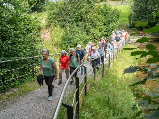 DSC02529 (1) DSC02529 (1)