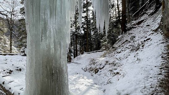 IMG_9964.jpg IMG_9964.jpg