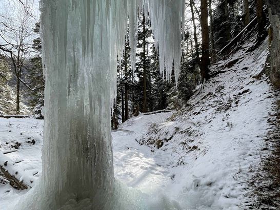 IMG_9964.jpg IMG_9964.jpg