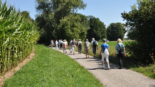 25-04-11, zgl-Wanderer.jpg (1) 25-04-11, zgl-Wanderer.jpg (1)