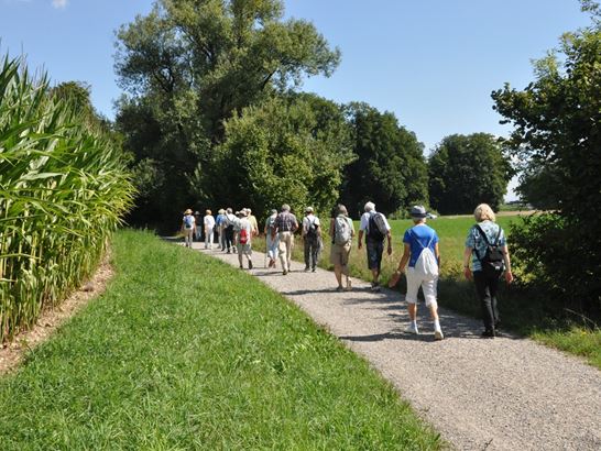 25-04-11, zgl-Wanderer.jpg (1) 25-04-11, zgl-Wanderer.jpg (1)