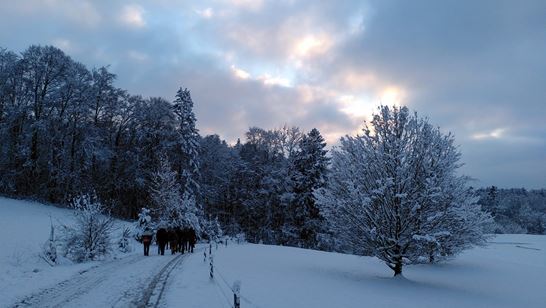 24-04-17, Pfruendweid, d6695f36-f6b9-4db0-8af2-53105ce3bd3c.jpeg 24-04-17, Pfruendweid, d6695f36-f6b9-4db0-8af2-53105ce3bd3c.jpeg