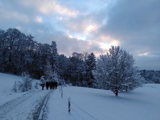 24-04-17, Pfruendweid, d6695f36-f6b9-4db0-8af2-53105ce3bd3c.jpeg 24-04-17, Pfruendweid, d6695f36-f6b9-4db0-8af2-53105ce3bd3c.jpeg