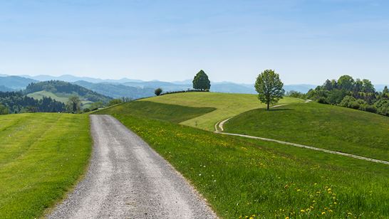 _DSC1983.jpg _DSC1983.jpg