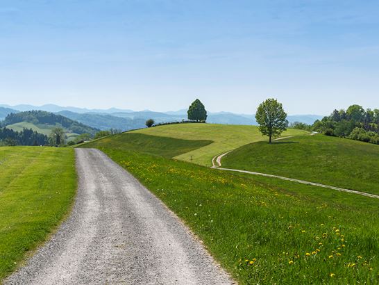 _DSC1983.jpg _DSC1983.jpg