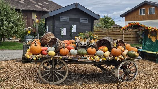 IMG-20250901-WA0010.jpg IMG-20250901-WA0010.jpg