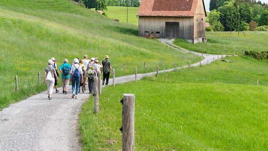 _DSC2061.jpg _DSC2061.jpg