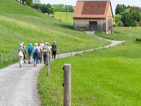 _DSC2061.jpg _DSC2061.jpg