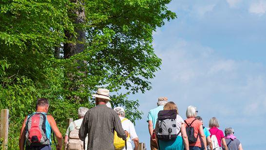 zglÔÇôpic3.jpg (1) zglÔÇôpic3.jpg (1)