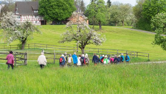 _DSC4068.jpg _DSC4068.jpg