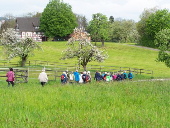 _DSC4068.jpg _DSC4068.jpg