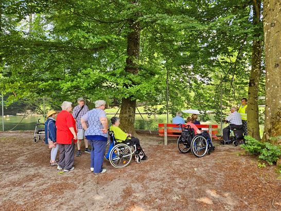 IMG-20250616-WA0019.jpg IMG-20250616-WA0019.jpg