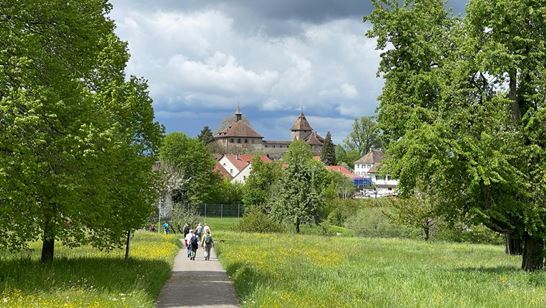 24-04-17, image0, vor Kyburg.jpeg 24-04-17, image0, vor Kyburg.jpeg