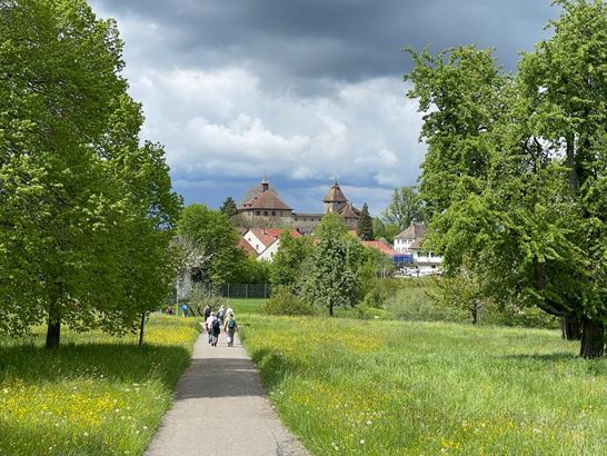 24-04-17, image0, vor Kyburg.jpeg 24-04-17, image0, vor Kyburg.jpeg