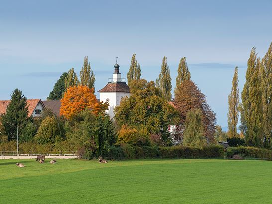 Schloessli3.jpg Schloessli3.jpg