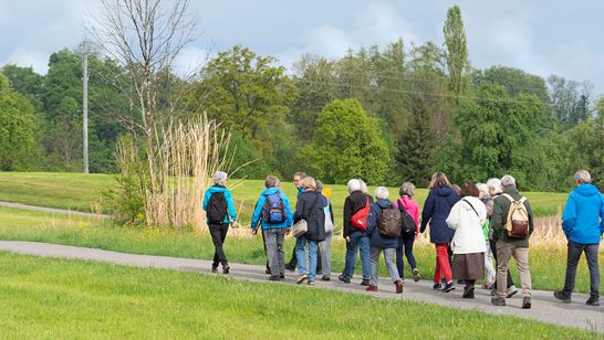 zglÔÇôpic2.jpg zglÔÇôpic2.jpg