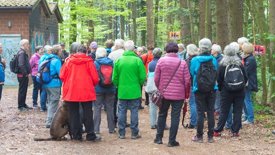 _DSC4060.jpg _DSC4060.jpg