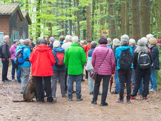 _DSC4060.jpg _DSC4060.jpg