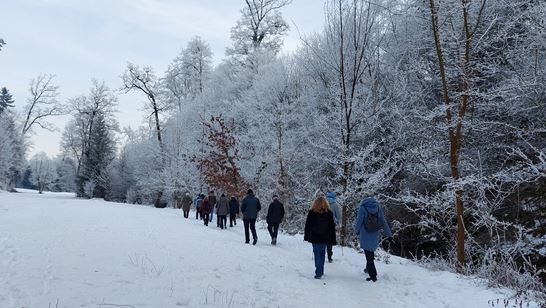 20260122_143515.jpg 20260122_143515.jpg