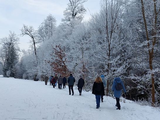 20260122_143515.jpg 20260122_143515.jpg