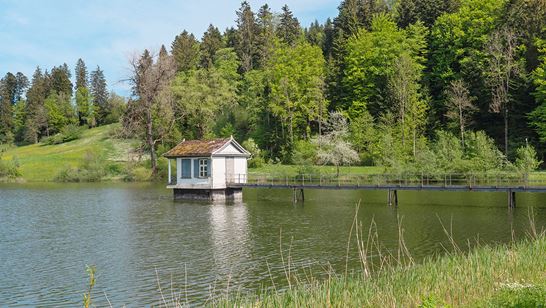 weiher.jpg weiher.jpg