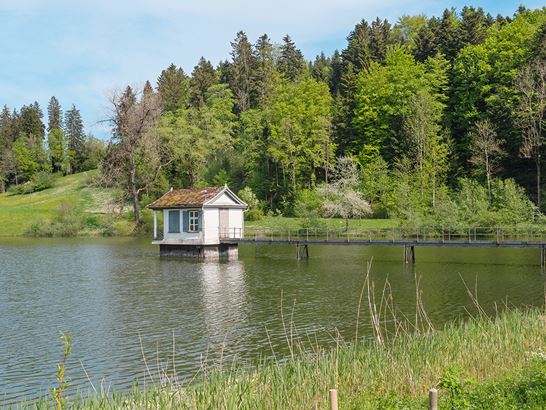 weiher.jpg weiher.jpg