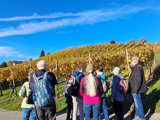 20251105_152201.jpg 20251105_152201.jpg